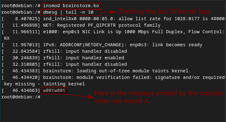 dmesg output showing the module's print message